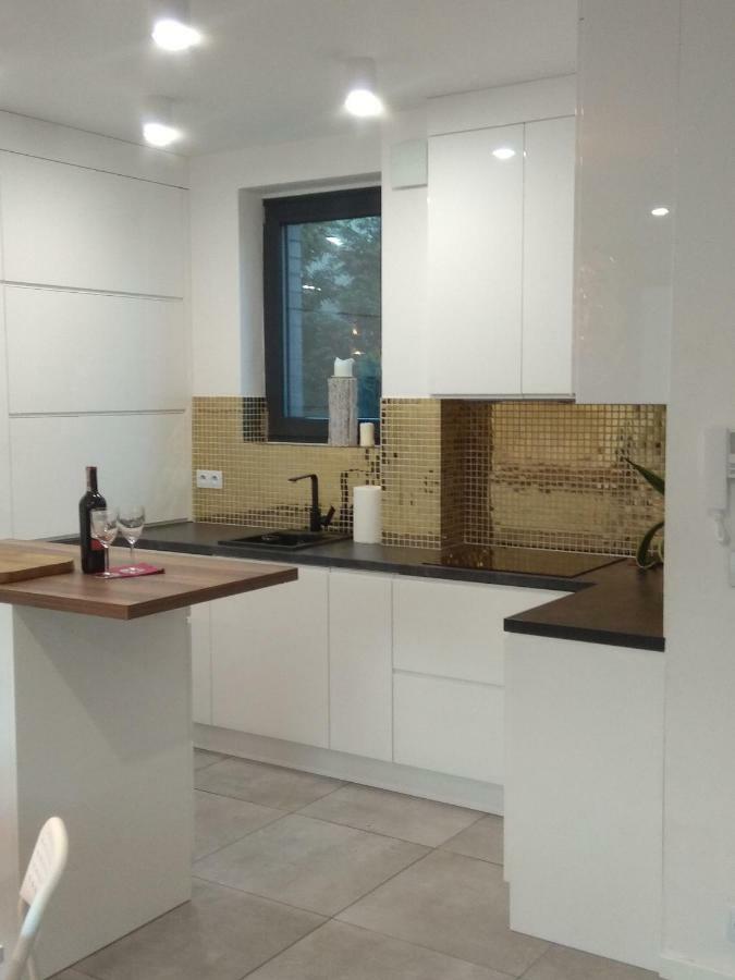 Luxury Apartment With Own Parking Chorzów Buitenkant foto